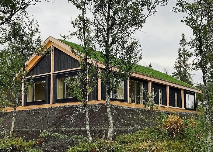 Modern Wooden Where Nature Be Felt